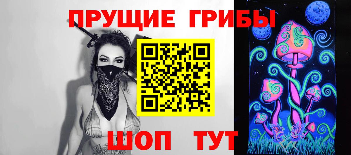 Холмск  Галлюциногенные грибы Psilocybine cubensis  Галлюциногенные грибы Psilocybine cubensis  Вход с VPN 